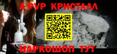амф Кингисепп