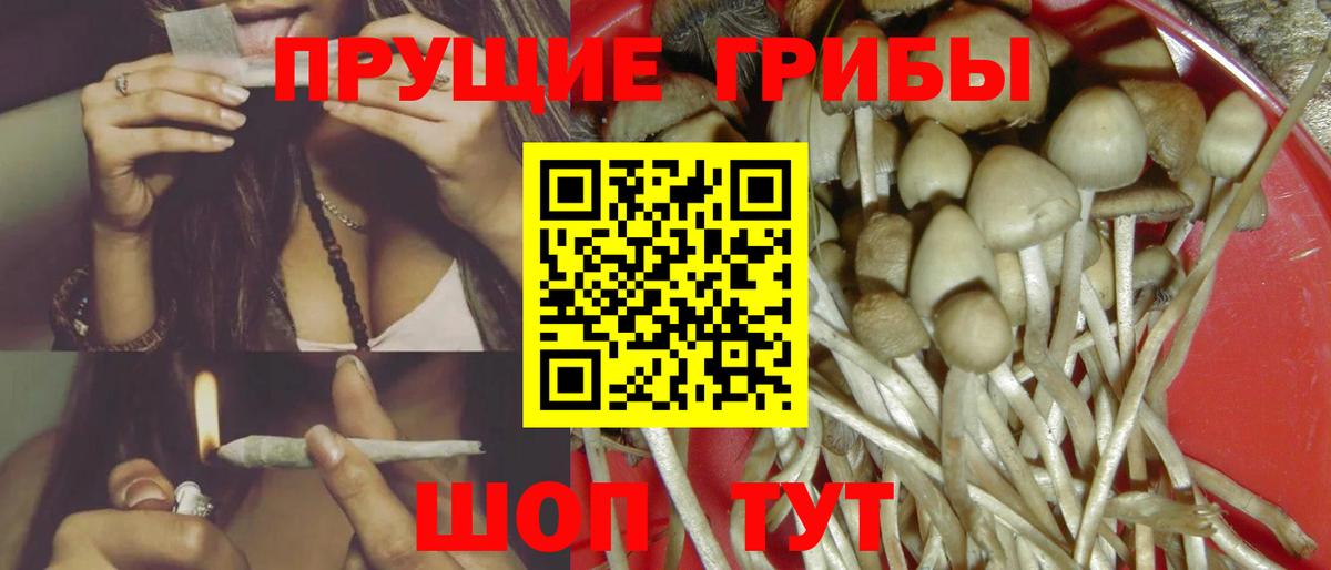 Кольчугино  Галлюциногенные грибы Magic Shrooms  Вход с VPN 
